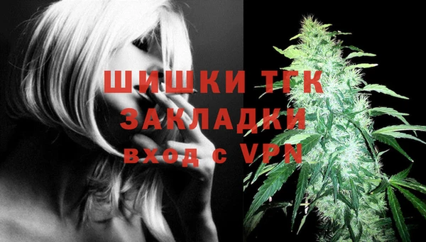 ECSTASY Бородино